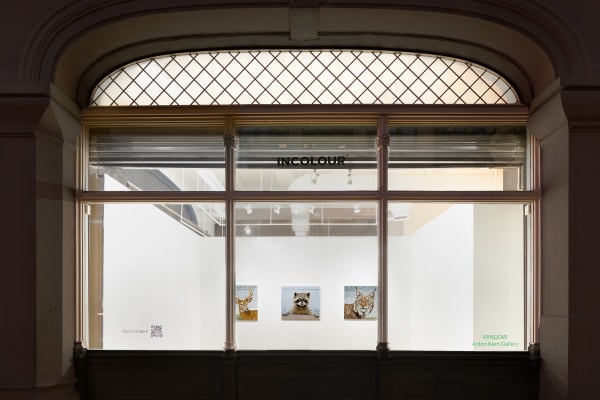 Installation view of Sean Landers at WINDOW.