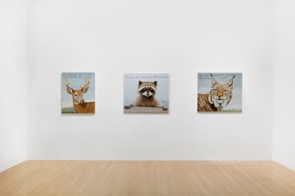 Installation view at WINDOW: three works.