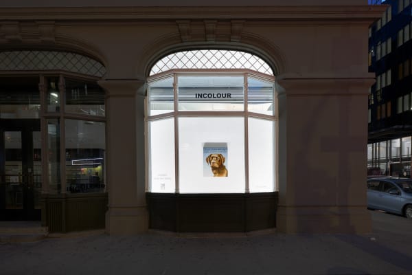 Installation view of Lafayette WINDOW side farther away.