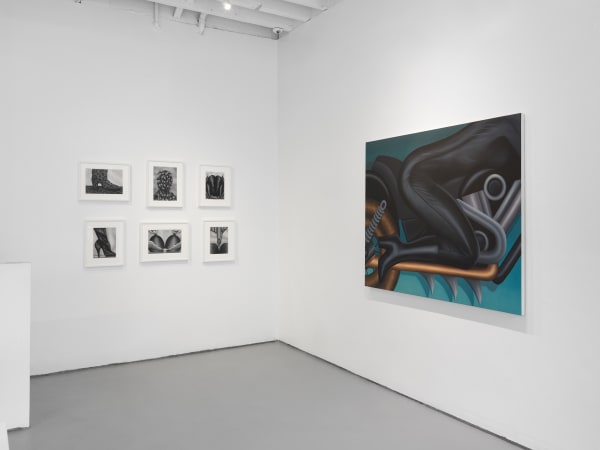 Julie's exhibition downtown at 198 Allen Street. Initially conceived as a solo booth at FIAC. Large painting titled La Machine alongside smaller works.