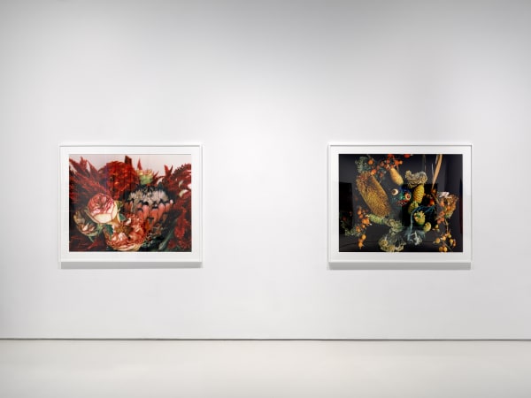 Frontal shot of the two Araki photographs in the show.