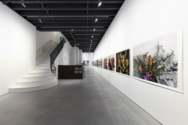 Installation view of Araki's show "I, Photography." The show featured four distinct photographic bodies of work from the Japanese artist. First floor view.