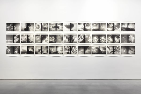 Installation view of Araki's show "I, Photography." The show featured four distinct photographic bodies of work from the Japanese artist. A series of photographs with a serene subject matter.