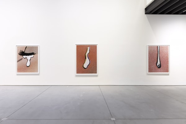 Installation view of Anne Collier's show. Two works shown.