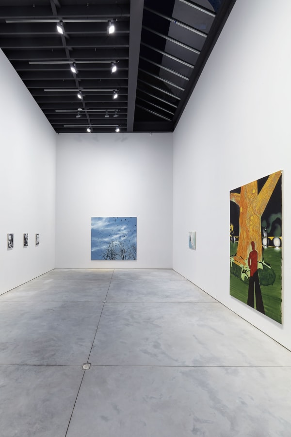 Installation view of Wilhem Sasnal's solo show. Some larger works shown.,