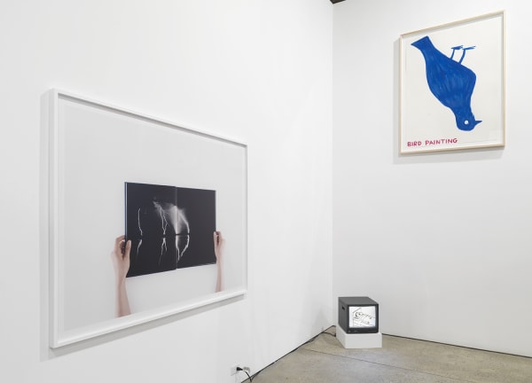 Installation view of Implosion, a 20 year anniversary show featuring all 28 artists on the Anton Kern Gallery roster. Collier and Shrigley featured.