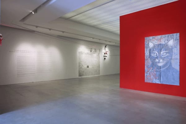 Thumb 709 Exh Img 34 3000