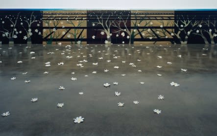 KONG SHINE, CHOO-CHOO, 2008-2009