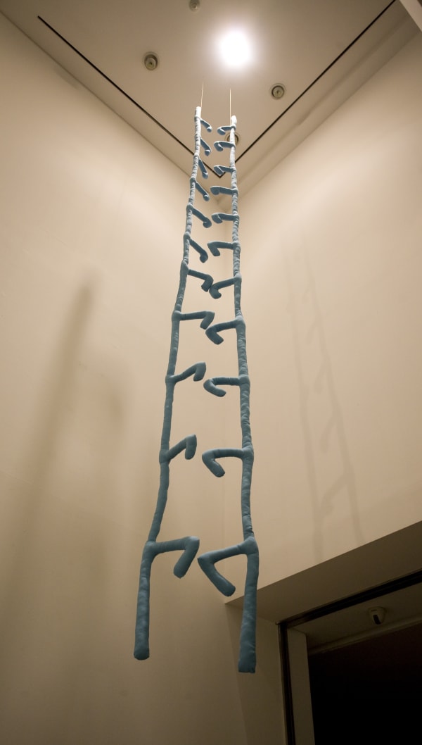 Installation Shinekong 02
