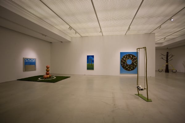 Installation Shinekong 09