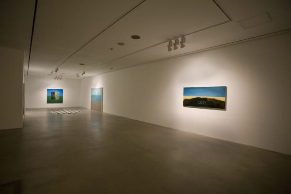 Installation Shinekong 16