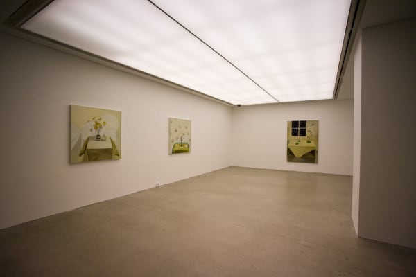 Installation Shinekong 19