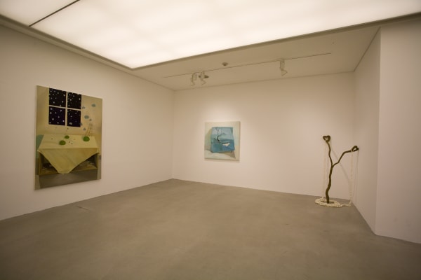 Installation Shinekong 20