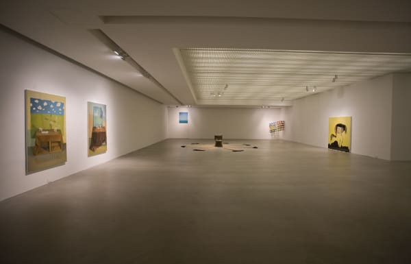 Installation Shinekong 21