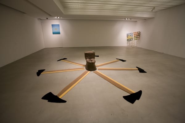 Installation Shinekong 23