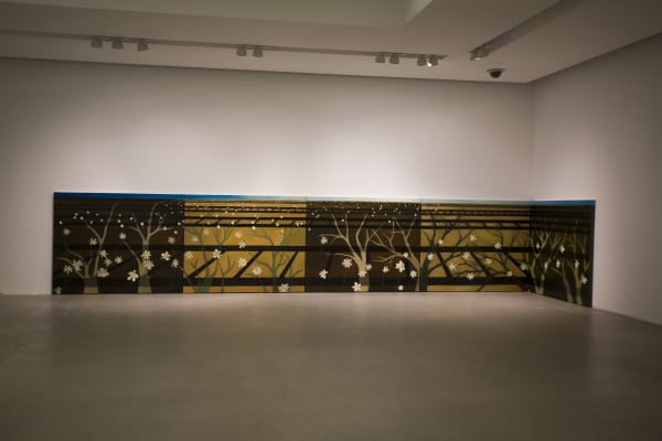 Installation Shinekong 26