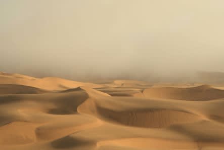 NAM KI SUNG, NOT YET TITLED, 2009