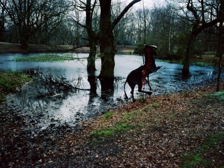 PARK HYUNGGEUN, UNTITLED-6, A PAPER HORSE, 2004