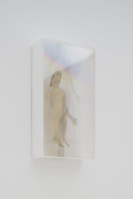 KOHEI NAWA, PIXCELL (ANATOMY FEMALE #2), 2012