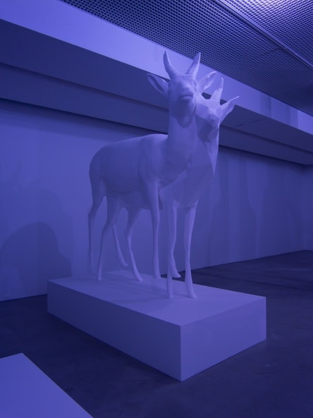 Kohei NAWA: TRANS