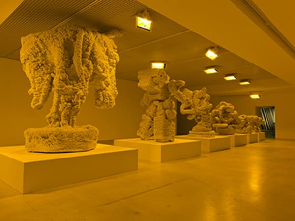 Thumb 709 Exh Img 128 437