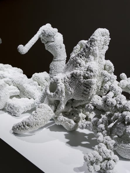 KOHEI NAWA, VILLUS, 2009