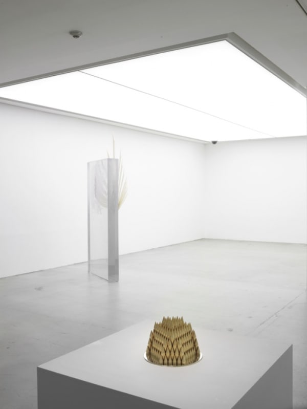 Byoungho Kim Garden In The Garden Installation 9