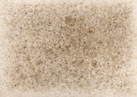 LEE KANGWOOK, THE GESTURE 15021, 2015