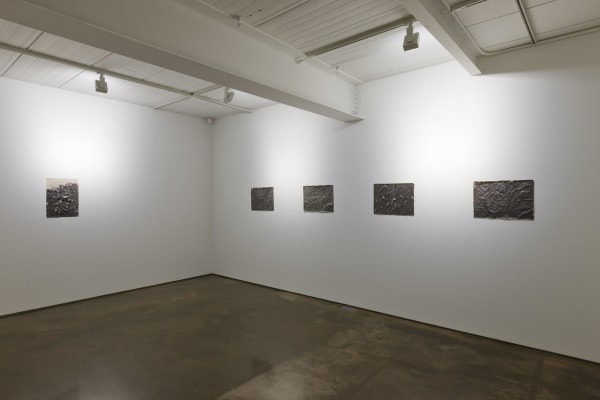 Installation View At Arario Gallery Seoul 2015 2