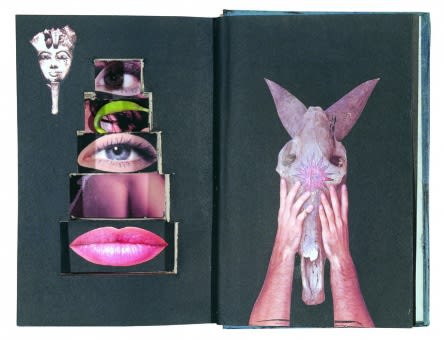 KIM KULIM, DARK ROSE, 2001