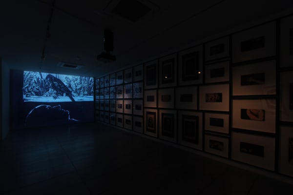 Installation View 10