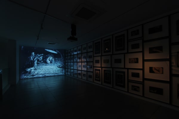 Installation View 11