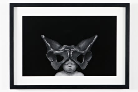 GAO LEI, T-3217, 2012