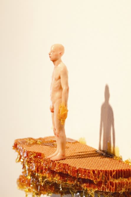 LEE DONGWOOK, POOH, 2012