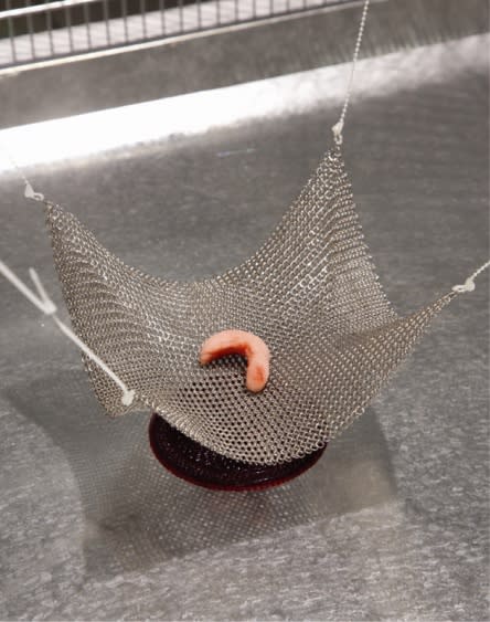 LEE DONGWOOK, UNTITLED, 2012