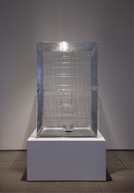 LEE DONGWOOK, UNTITLED, 2012