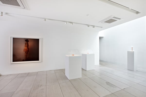 Installation View At Arario Gallery Seoul Cheongdam 2011 19