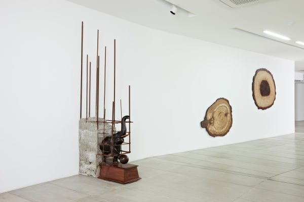 Installation View At Arario Gallery Seoul Cheongdam 2011 26