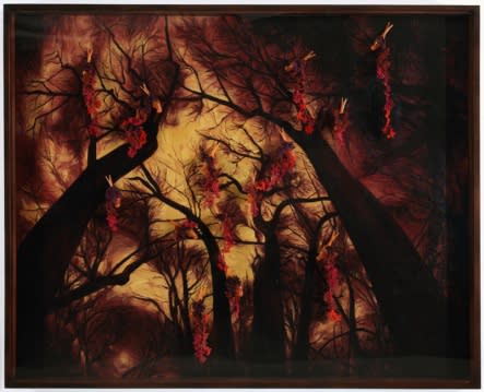 GERALDINE JAVIER, APOCALYSE, 2011