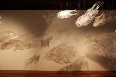 CHOI WONJUNG, FISH+FEATHER, 2003