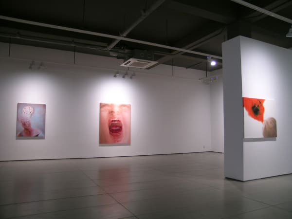 Ksh Install080110 26