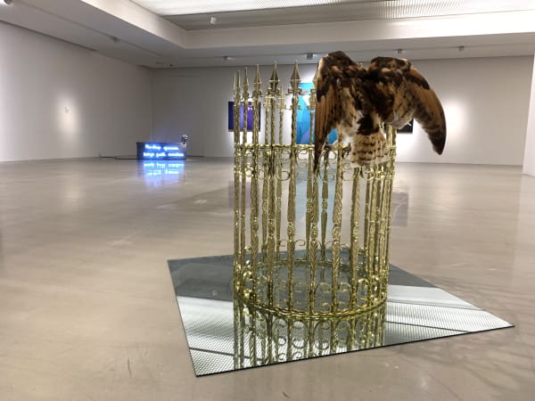 Installation View Of A Strong Wind In Beijing Arario Gallery Cheonan 2019 26