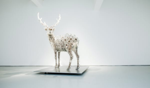 3Rd Floor Pixcell Deer 41