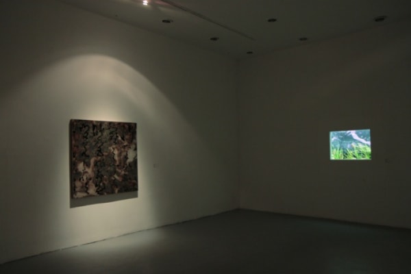 Thumb 709 Exh Img 108 742