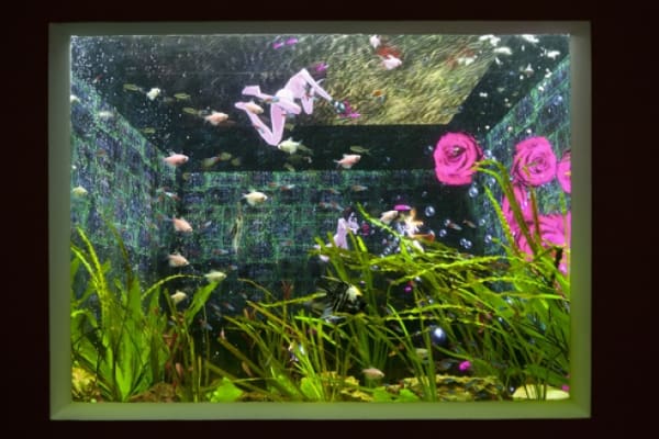 Thumb 709 Exh Img 108 745