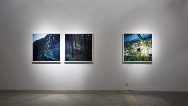 Thumb 709 Exh Img 173 2277