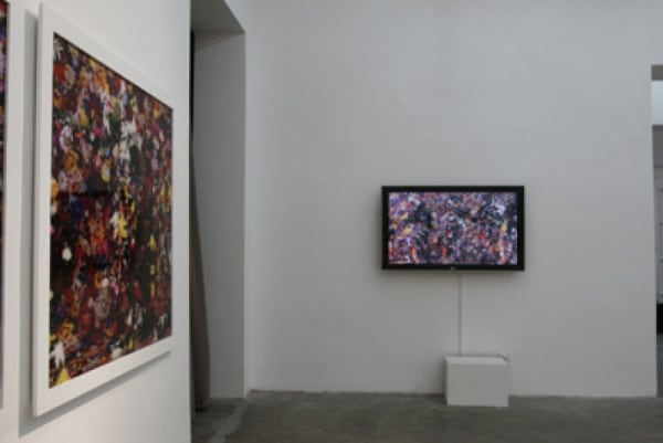 Thumb 709 Exh Img 170 2195