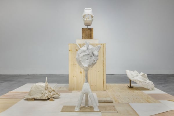 Thumb 709 Exh Img 316 7408