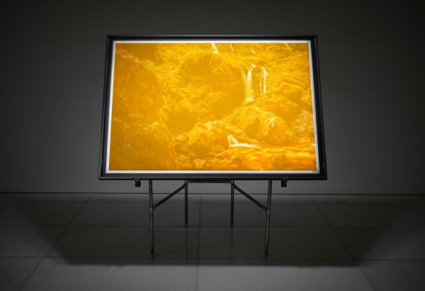 BEAK Jungki: All in One