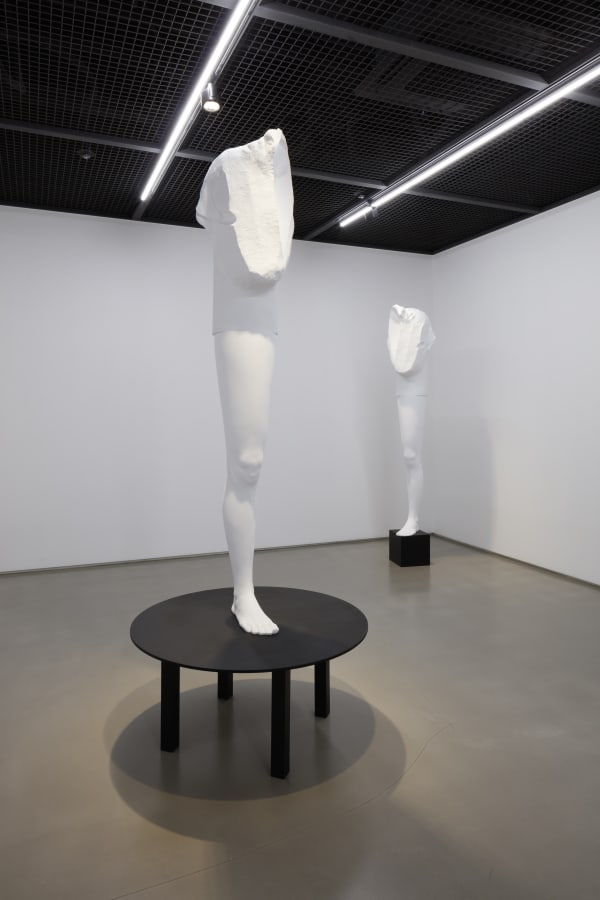 Inbai Kim Things Modeled On 2 Resin 40X50X221Cm Each 2